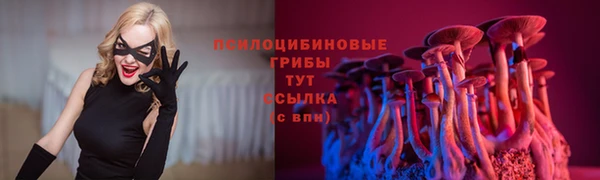 соль ск Волоколамск